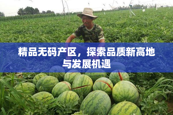 精品无码产区，探索品质新高地与发展机遇