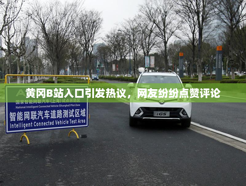 黄冈B站入口引发热议，网友纷纷点赞评论