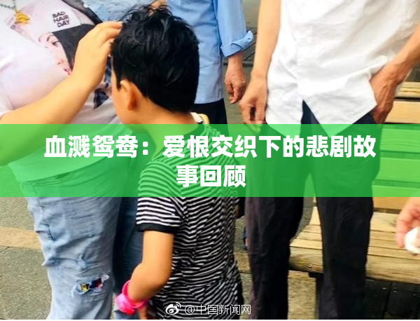 血溅鸳鸯：爱恨交织下的悲剧故事回顾
