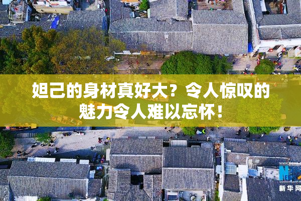 妲己的身材真好大？令人惊叹的魅力令人难以忘怀！