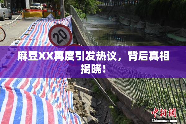 麻豆XX再度引发热议，背后真相揭晓！