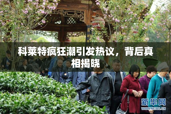 科莱特疯狂潮引发热议，背后真相揭晓