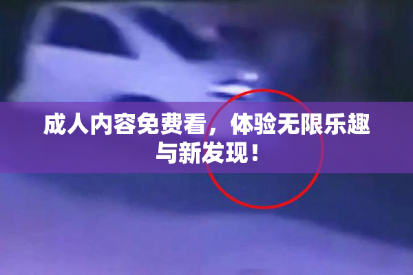 成人内容免费看，体验无限乐趣与新发现！