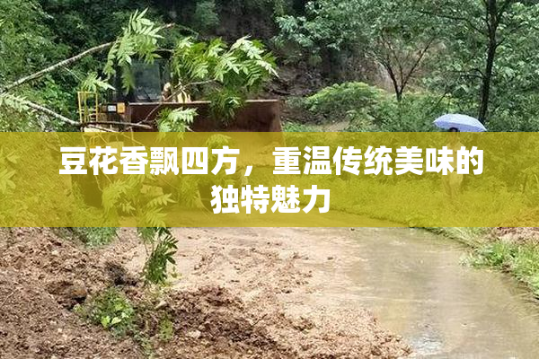 豆花香飘四方，重温传统美味的独特魅力