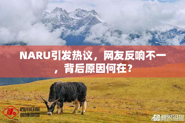 NARU引发热议，网友反响不一，背后原因何在？
