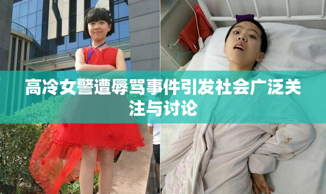 高冷女警遭辱骂事件引发社会广泛关注与讨论