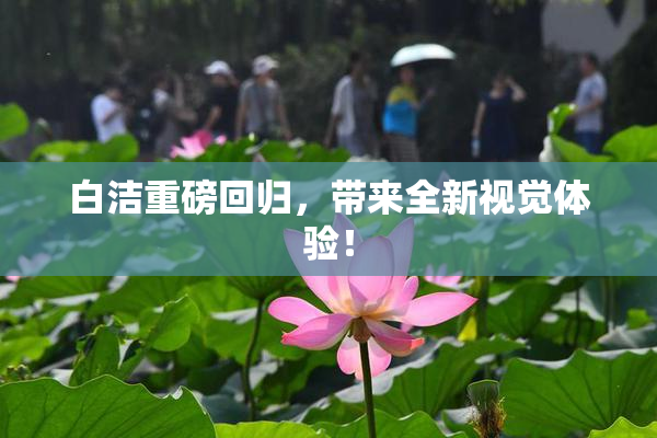 白洁重磅回归，带来全新视觉体验！