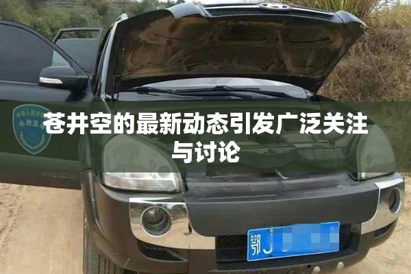 苍井空的最新动态引发广泛关注与讨论