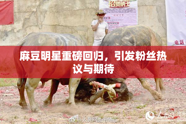 麻豆明星重磅回归，引发粉丝热议与期待