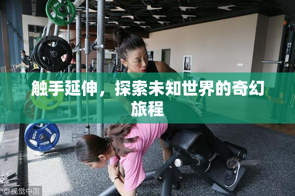 触手延伸，探索未知世界的奇幻旅程