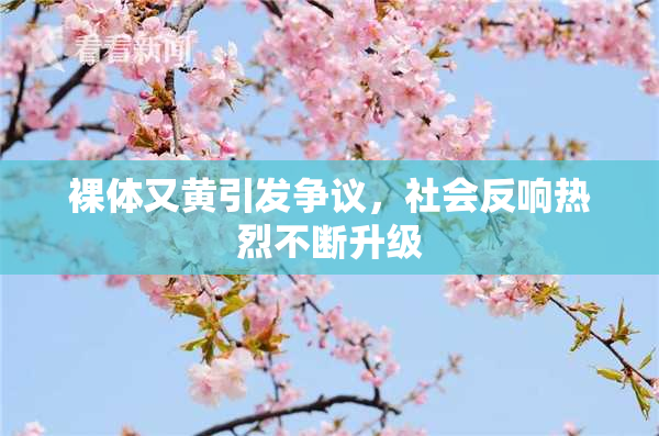 裸体又黄引发争议，社会反响热烈不断升级