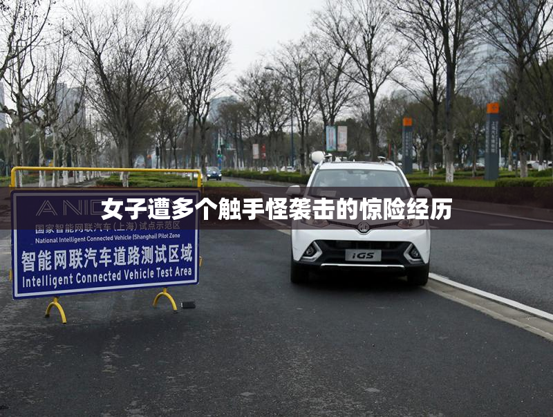 女子遭多个触手怪袭击的惊险经历