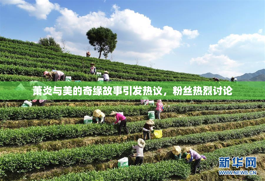 萧炎与美的奇缘故事引发热议，粉丝热烈讨论