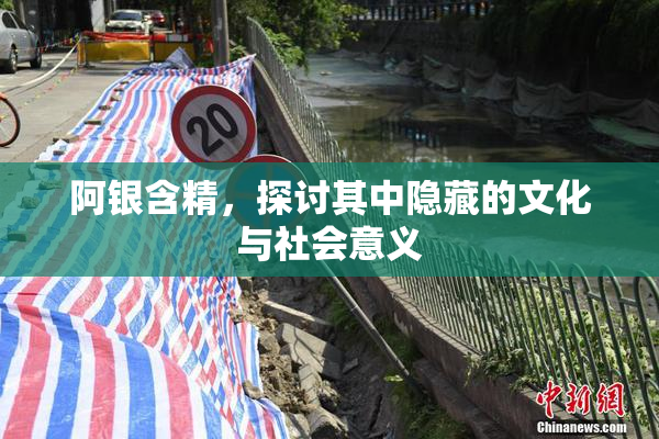 阿银含精，探讨其中隐藏的文化与社会意义