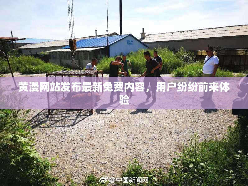 黄漫网站发布最新免费内容，用户纷纷前来体验