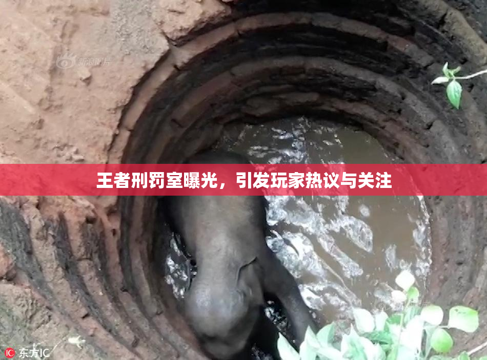 王者刑罚室曝光，引发玩家热议与关注