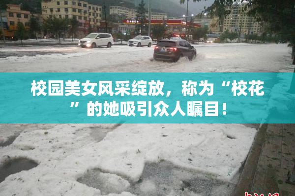 校园美女风采绽放，称为“校花”的她吸引众人瞩目！