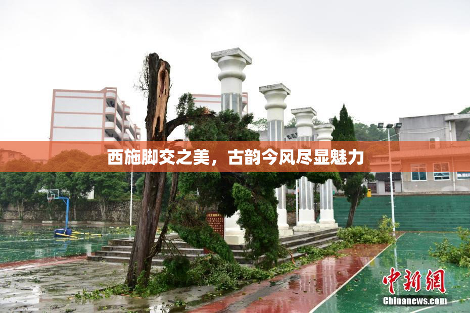 西施脚交之美，古韵今风尽显魅力