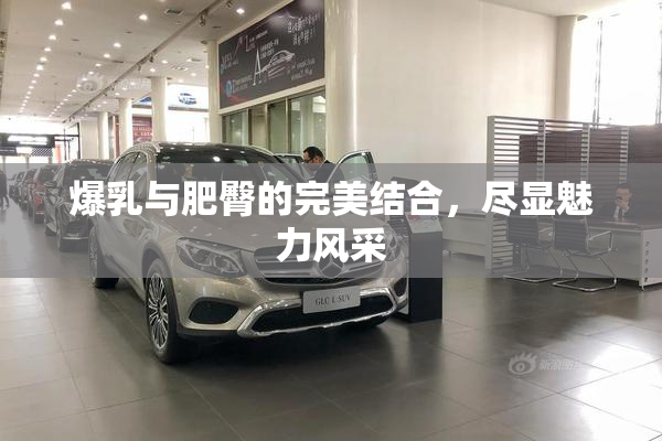 爆乳与肥臀的完美结合，尽显魅力风采